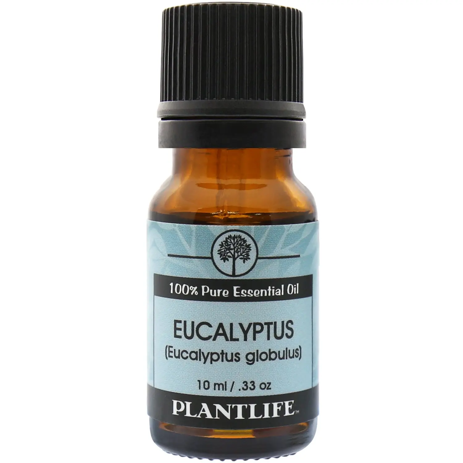 Plantlife Eucalyptus Essential Oil – Crisp & Invigorating Aromatherapy Oil