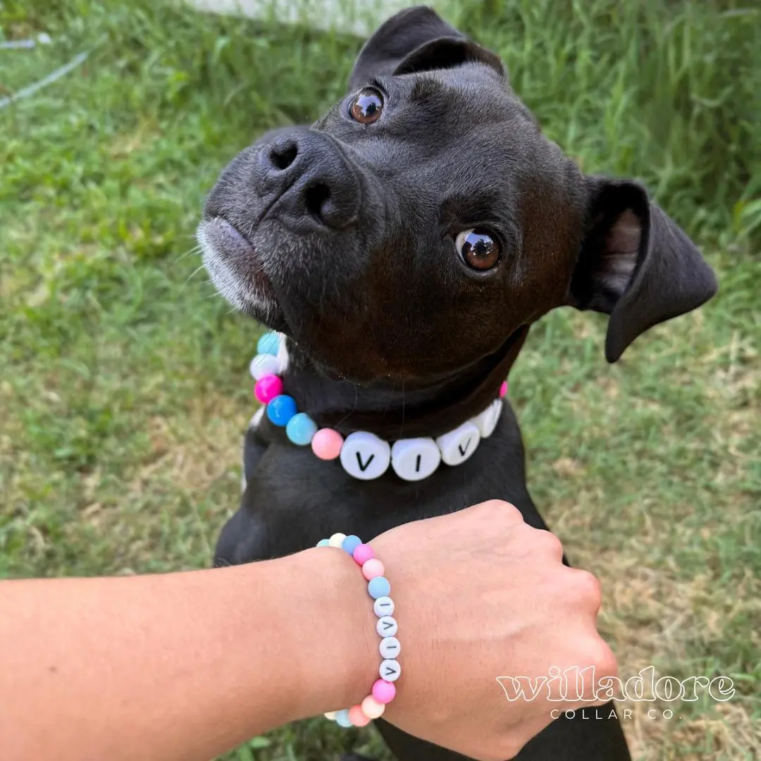 Custom Friendship Bracelet with Name | Willadore