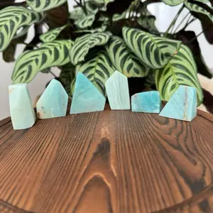 Caribbean Calcite Freeform’s