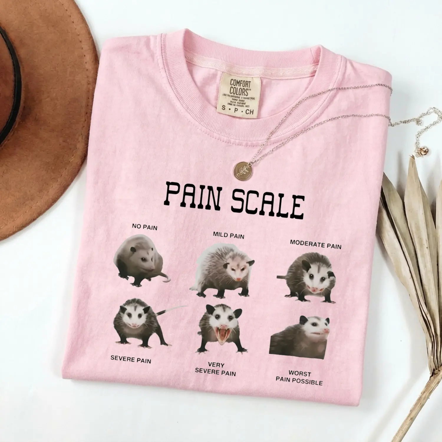 Comfort Colors Funny Nurse Tshirt, Pain Scale Sweater, Pain Scale Pain Assessment Shirt, Pain Scale Pain Assessment Opossum Trauma Nurse Triage Tee, Nurse Shirt Top