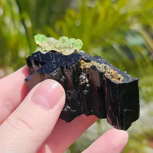 Terminated Black Tourmaline Schorl with Day Light Fluorescent Hylaite Opal