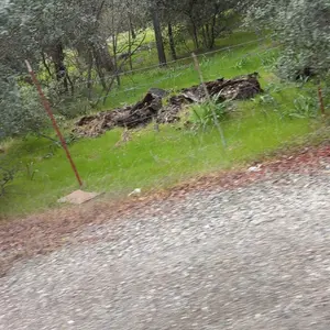 Metal Storage Shed with Metal Base Frame Kit