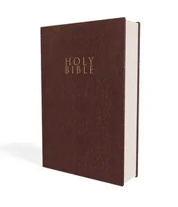 NIV, Gift and Award Bible, Leather-Look, Burgundy, Red Letter, Comfort Print by Zondervan [Paperback Book]