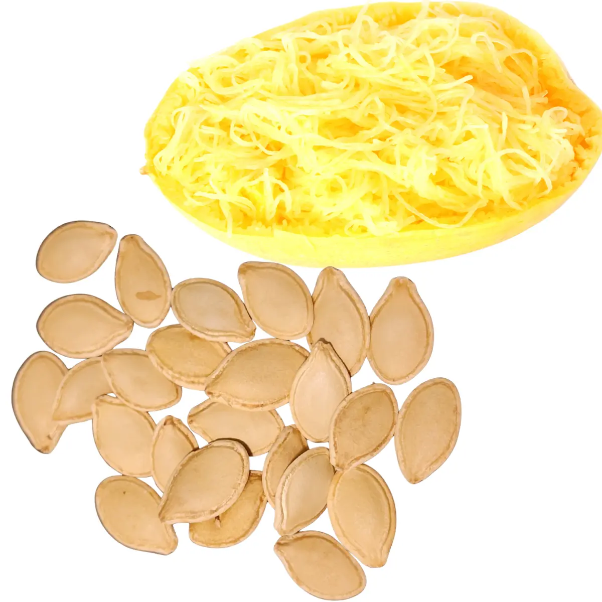 Squash, Spaghetti (Cucurbita pepo) 30 Organic Seeds (4 grams) by Smoke Camp Crafts - Vegetable Spaghetti Winter Squash