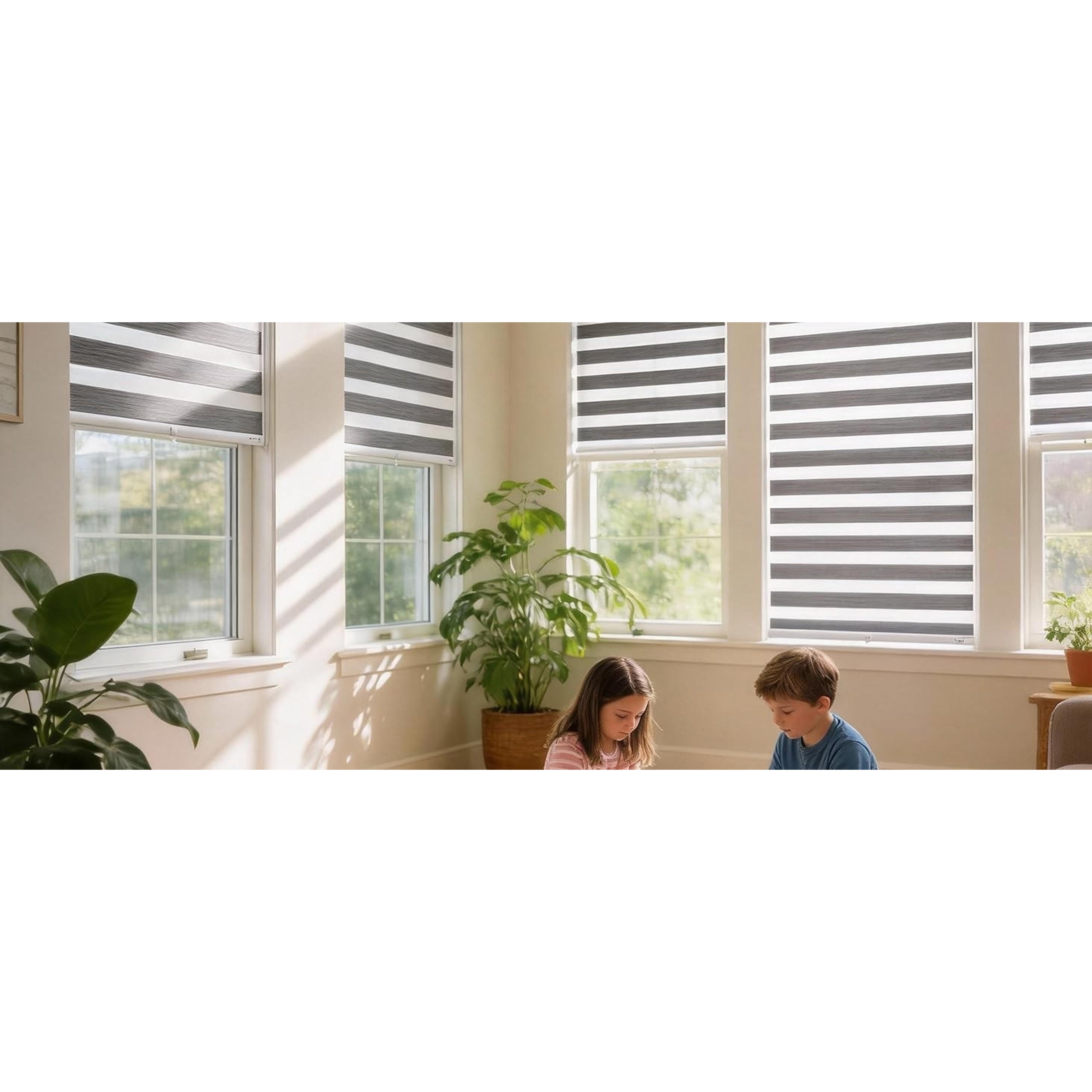 Cordless Zebra Pattern Roller Blind for Indoor Home Windows, Free-Stop Dual Layer Light Filter Sheer Shades (22" W X 72" H, Grey)