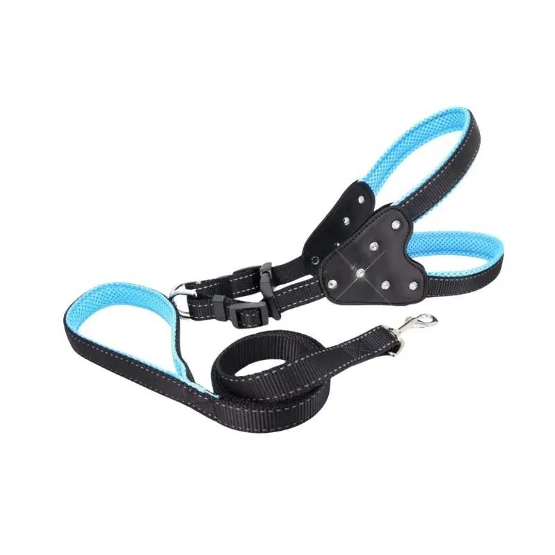 Just fur them (Harness & Leash set) Personalized