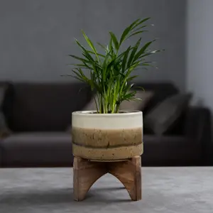3.5" Ash Finish Ceramic on Wood Stand Grey Indoor Planters 6.25 x 6.25 x 6.125