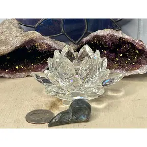 Labradorite Bird Skull