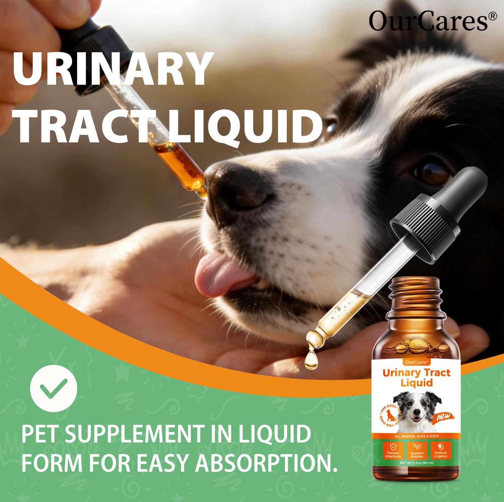 OurCares Urinary Tract Liquid Drops for Dogs (Chicken Flavor) – 60ml | With D-Mannose, Cranberry, Uva Ursi & Pumpkin Seed, Supports Bladder Health, Flushes Urinary Tract & Relieves Discomfort OurCares Urinary Tract Liquid Drops for Dogs (Chicken Flavor) – 60ml | With D-Mannose, Cranberry, Uva Ursi & Pumpkin Seed, Supports Bladder Health, Flushes Urinary Tract & Relieves Discomfort