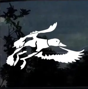 Mallard Duck Hunting Window Decal Sticker