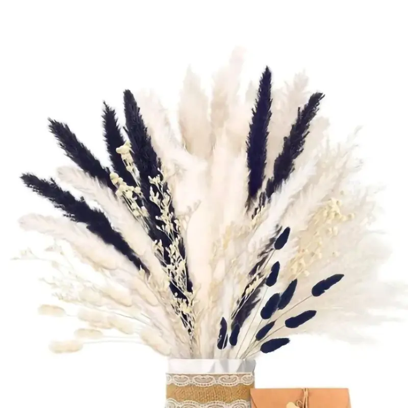 Combination 38 (54pcs)