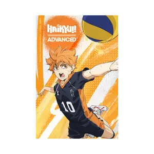 Haikyu!! - Hinata Sticker