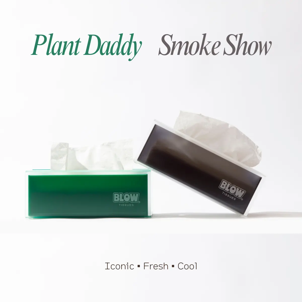 Plant Daddy + Smoke Show