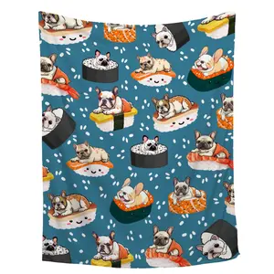 Sushi Blanket Gift  Cozy Plush ,Fuzzy Flannel Fleece Blanket for Couch Sofa Camping,40x50