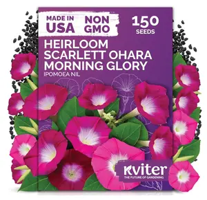 150 Scarlett O'Hara Morning Glory Seeds for Planting (Ipomoea Nil) – Red Morning Glory Vine Seed Packets – Non GMO Heirloom Flower Seeds to Plant Outside Home Garden, Containers, Trellises