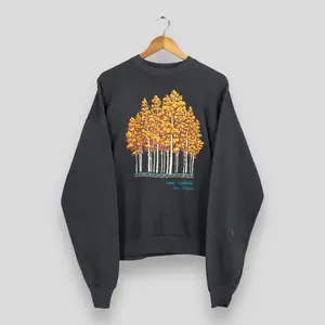 Vintage New Mexico Sweatshirt XLarge Jemez Mountains New Mexico Jumper Aspen Trees Nature Graphic Sweater Forest Tree Wildlife Crewneck XL