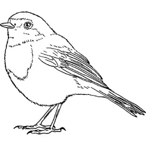 Unmounted Rubber Stamp - for Crafting, Scrapbooking and Card Making - Size A8 (RS00032701)