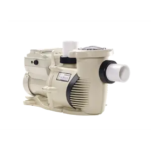 Pentair IntelliFloXF VSF Variable Speed Pump 3.95 THP | 022056