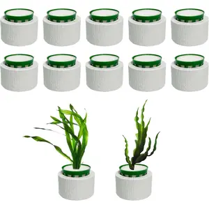 12 Pack New Upgrade Aquarium Plant Weights, Aquatic Plants Fixed Ring Set, Anti-Floating Ceramic Aquarium Plant Rings, Aquarium Landscape Decoration Fish Tank Accessories 1.8 x 1.3 Inch