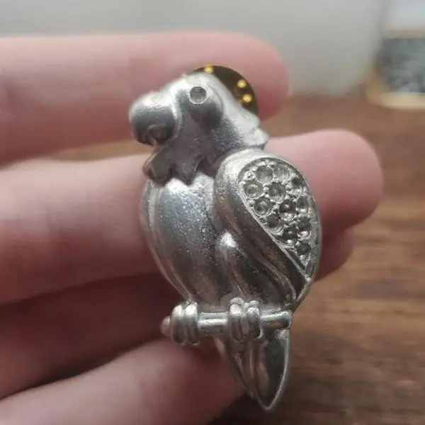 Whimsical parrot bird brooch B213