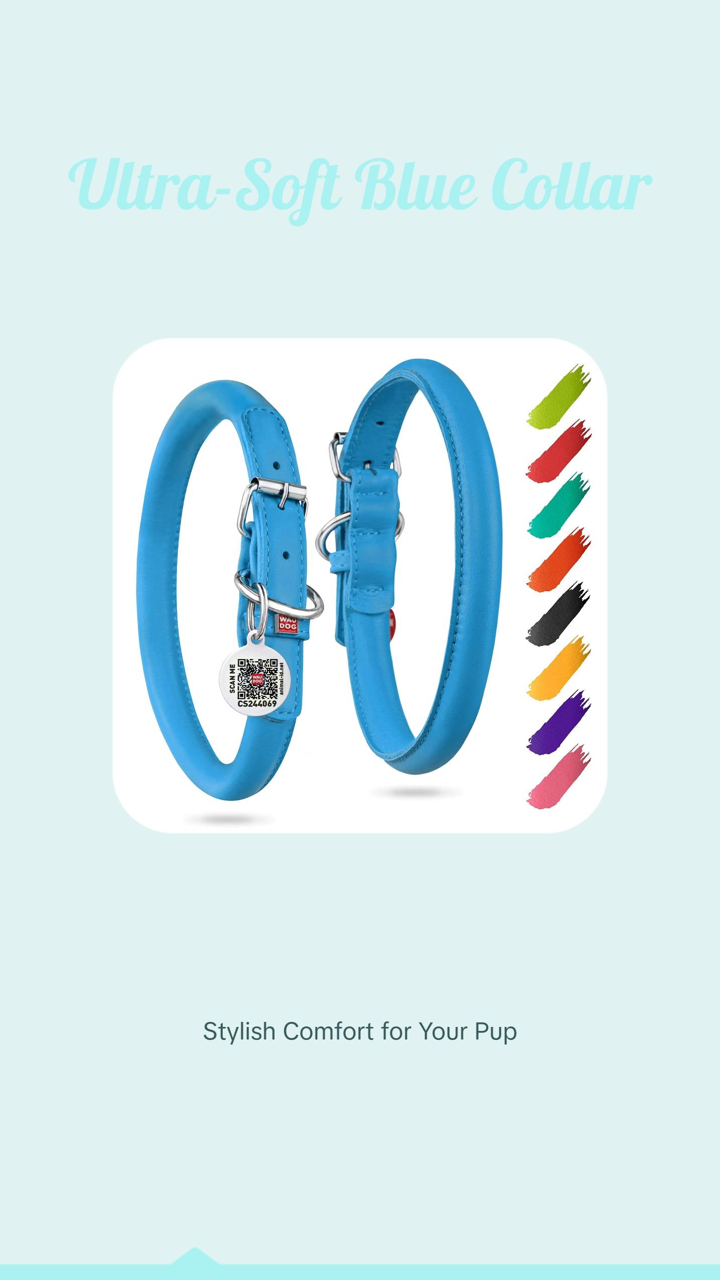 Blue Ultra Soft Rolled Leather Dog Collar for XSmall Dogs