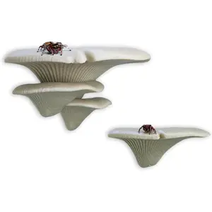 Magnetically Concealed Jumping Spider Mushroom Shelf Habitat Enclosure Decor Accessories for Spider Climbing Feeding Platforms (Simulated wood)