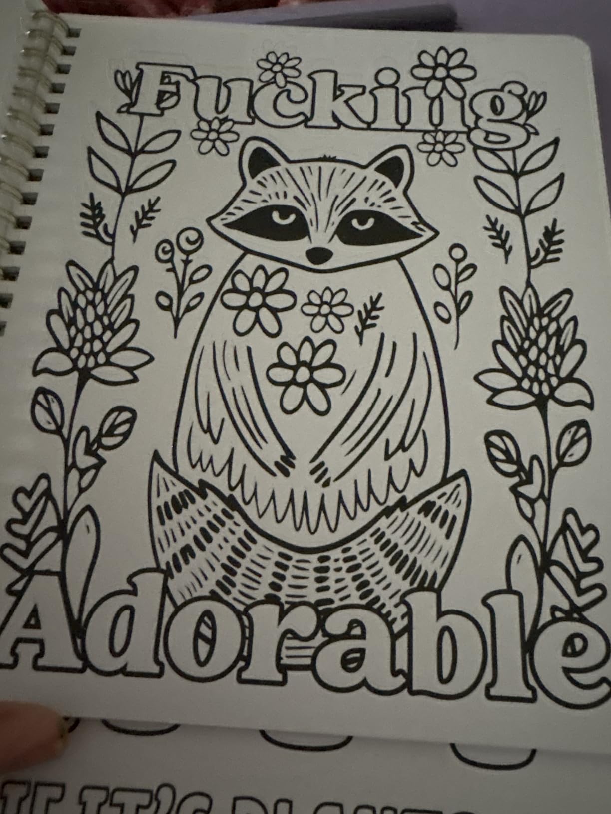 Beautiful Coloring Book Set of 2 for Adult Relaxation - Funny Coloring Books with Floral Designs for a lot of Laughs - The Perfect Stress-Relieving Gift for Women