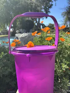 Cubetas 8.5 litos  Morado jar