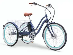 EVRY journey  250W Electric Tricycle