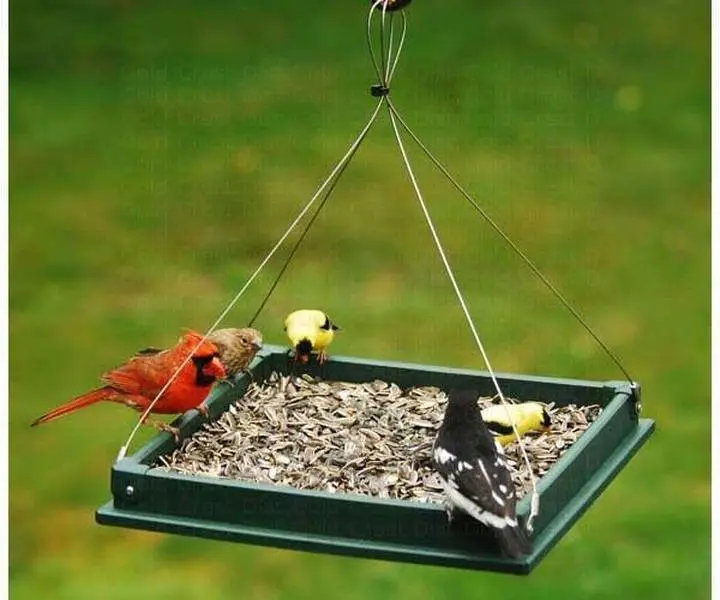 Hanging Platform Feeder