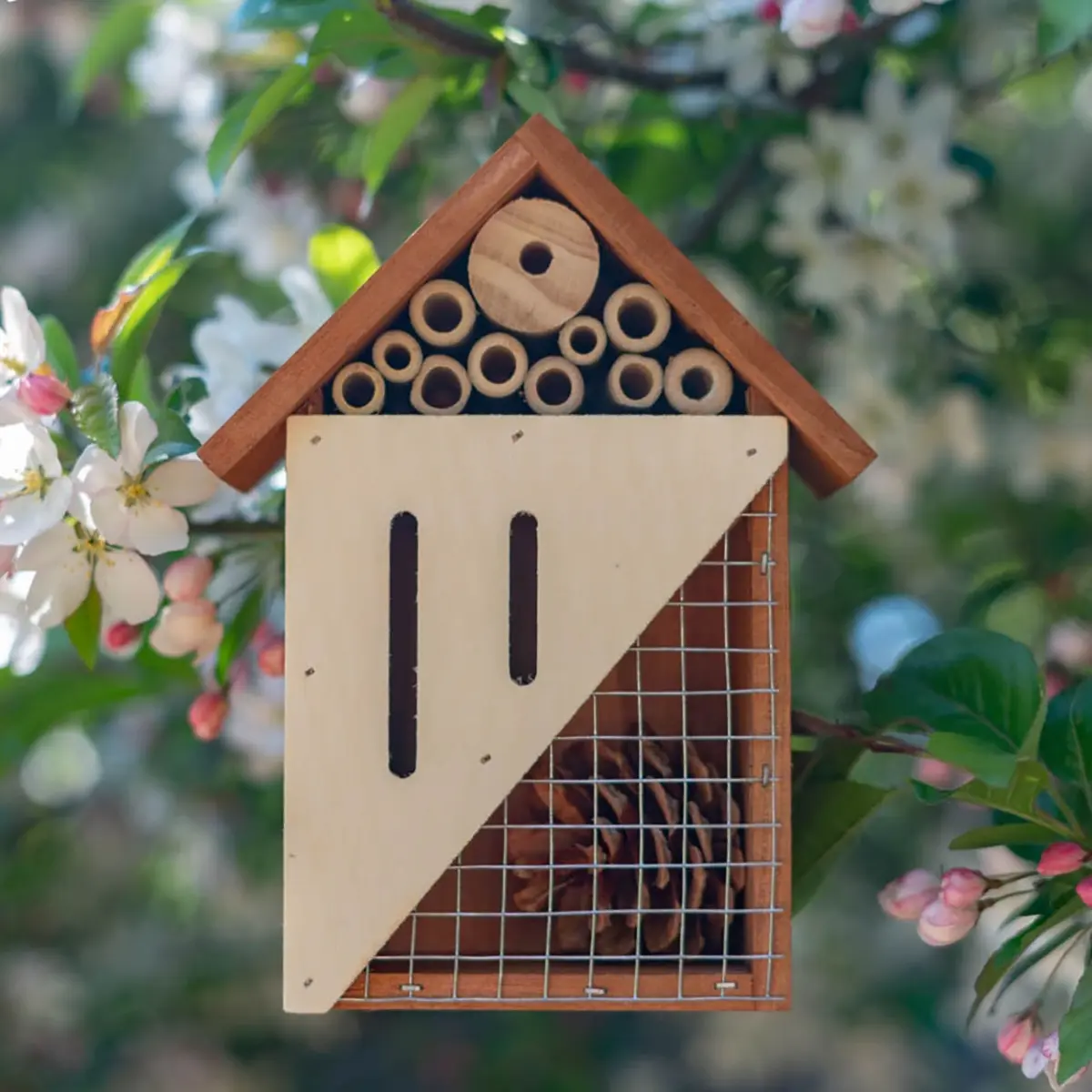 Touch of Eco 5060 Pollinator House 3-Compartment Wooden Insect Habitat for Bees, Butterflies, and Ladybugs Natural Bug Home for Garden & Yard Perfect Gift