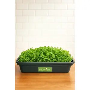 Home Microgreens Growing Kit