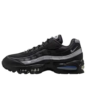 Nike Air Max 95 'Metallic Silver' IB1667-003