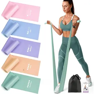 Stretch Bands for Exercise, 5 Levels Resistance Bands for Working Out, Exercise Bands for Physical , Pilates, Rehab, Stretch, Strength  and Yoga Starter Set