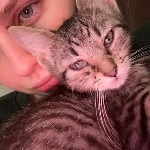 Potaroma Pet Eye Wipes Hypoallergenic Tear Stain Remover for Dogs & Cats, Hand-Injserted Design Double Layer Thickened Gentle Cleaner for Discharge, Crust, Booger & Debris– Soothing Wash for Eyes, Wrinkle, Face, 60 Pads