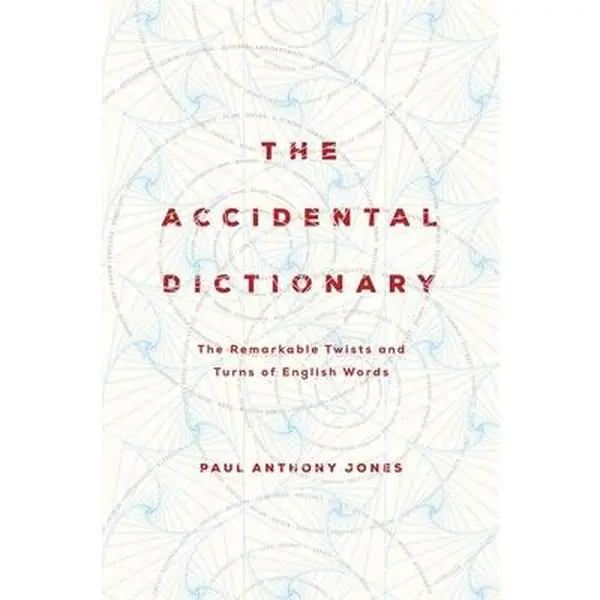 USED-The Accidental Dictionary by Jones, Paul Anthony (Paperback)