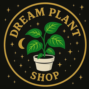 Dream Plant Shop