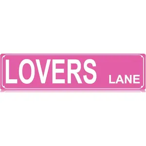 Lovers Lane Slim Tin Sign Street Funny Metal Sign Wall Decor for Bedroom Farm Home Bar Garage Man Cave Wall Art Gift 4" by 16" Camping