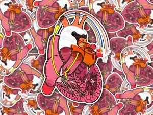 Swan-Ganz Catheter Sticker