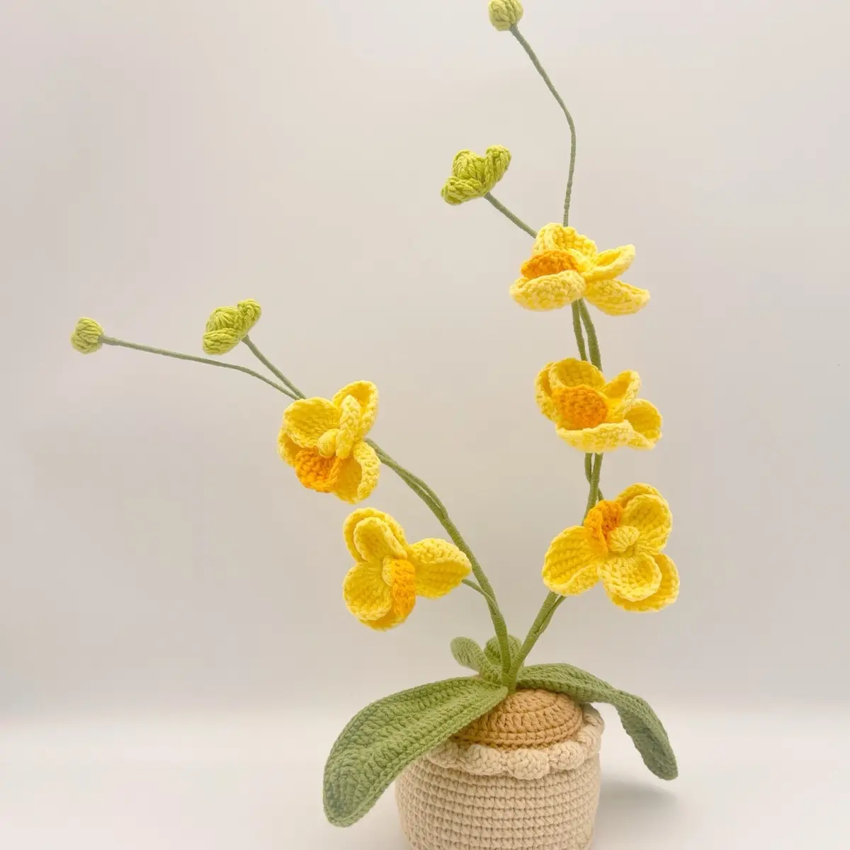 Crochet Orchid Flower Pots - Perfect for Home Garden