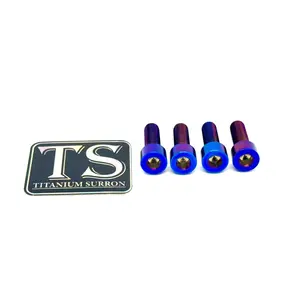 Titanium Peg Bracket Bolts - Surron, Talaria, E-Ride (Set of 4)