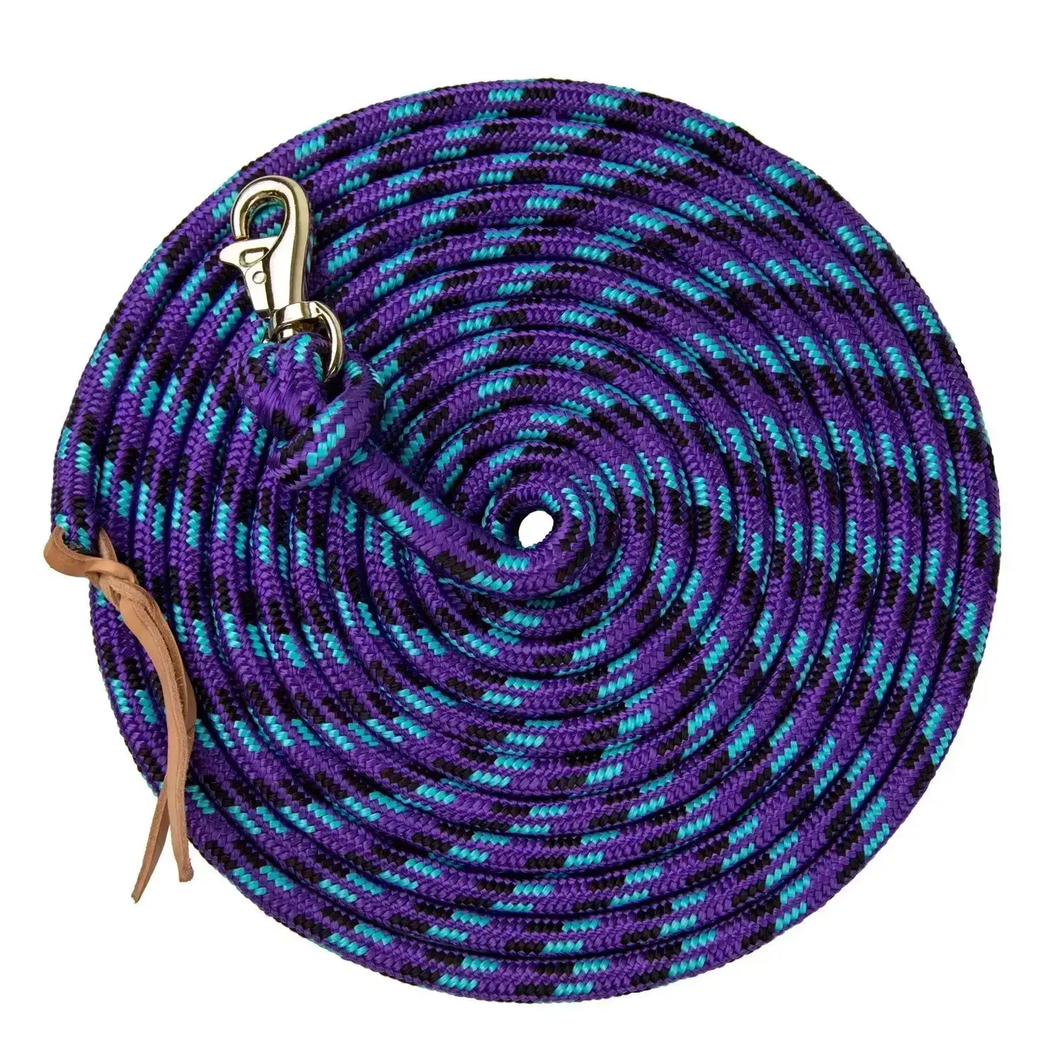 10' Tricolored Clinician Equine Training Lead