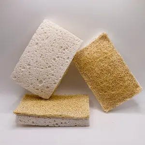 Biodegradable Sponge + Scrubber