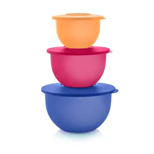 Tupperware Impressions Classic Bowl Set
