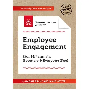 USED-The Non-Obvious Guide to Employee Engagement (for Millennials, Boomers and Everyone Else) by Grant, Maddie (Paperback)