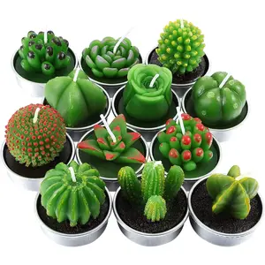 12 Pieces Cactus Tealight Candles Handmade Delicate Succulent Cactus Candles for Party Wedding Spa Home Decoration Gifts Qovydx