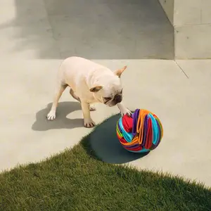 Foldable Dog Snuffle Ball for IQ Training Games