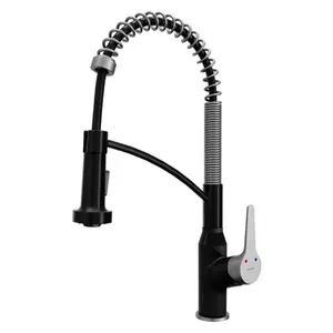 Alston Matte Black with Stainless Steel Touchless Kitchen Faucet – Motion Sensor Activation, Pull-Down Spray, High Arc Spout, 360° Swivel, ADA Compliant, Dual Function Spray, Lead-Free Brass, 1.8 GPM
