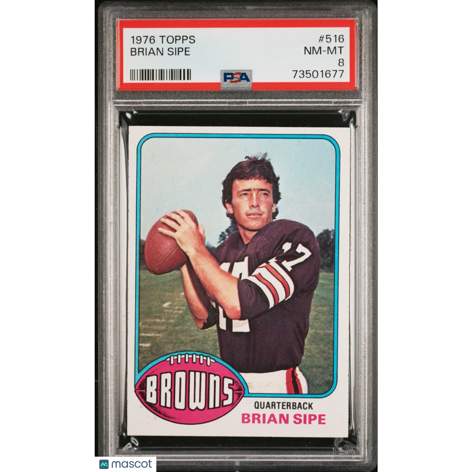Brian Sipe PSA 1976 Topps Football #516 8 73501677
