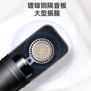 AT4040 Professional Recording Bundle, Condenser Microphone with Sound Card for Audiobook, Dubbing & Podcast Streaming